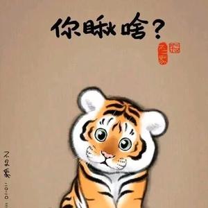 勇敢的宇宙 头像