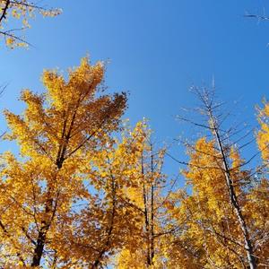 兔宝宝的狗宝宝