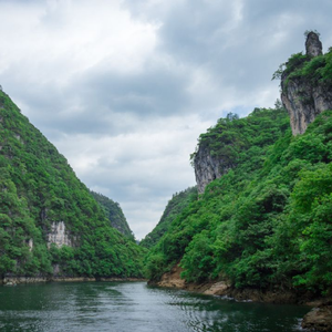 山河自媒体头像