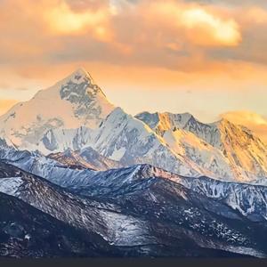 碳水克星研究所 头像