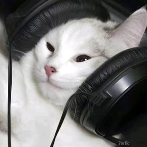 老拿纪录片 头像