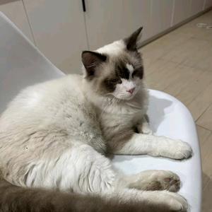 无棱君的毅天o 头像