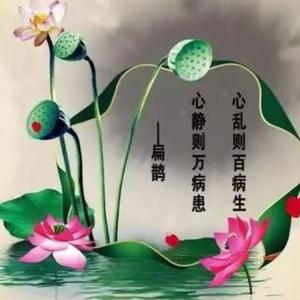 小艾谈生活 头像