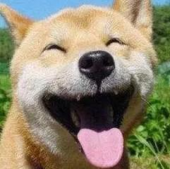 趣味分享yyds