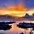 好学饺子g 头像