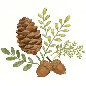 安安手工馆 头像