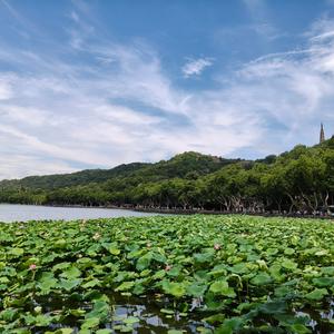 安闲听秋雨 头像