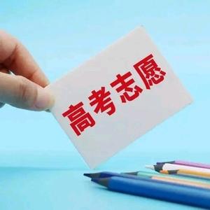 老万谈志愿 头像