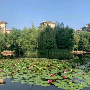 健康就是平衡 头像