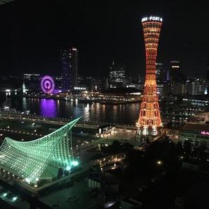 铁打的木哥 头像