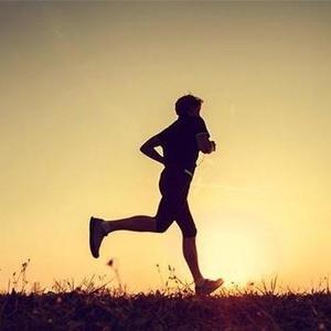 鱼语解码师 头像