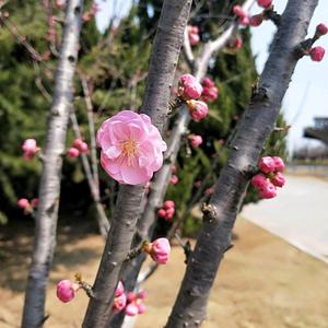 青岛无人售货机投放头像