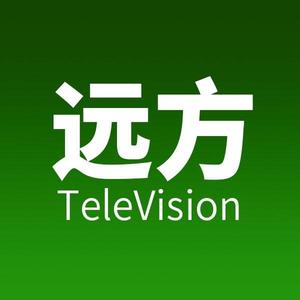 远方TeleVision头像