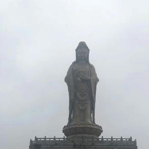 钓鱼佬王大鹏 头像
