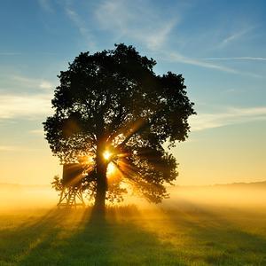 工匠的快乐 头像