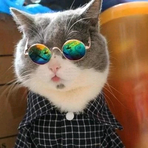 妙趣多工厂 头像