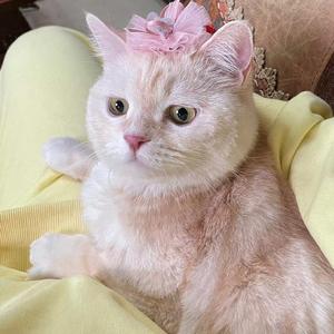 严美娜Tina霖 头像