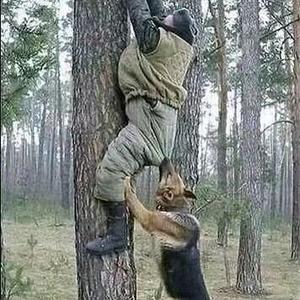 旅行家讲娱 头像