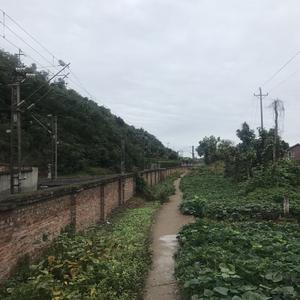 海阔丶天季
