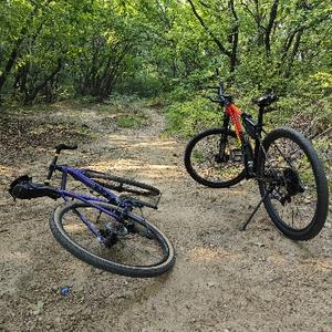 七哥又来了 头像