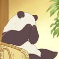 爱吃瓜的小鱼 头像