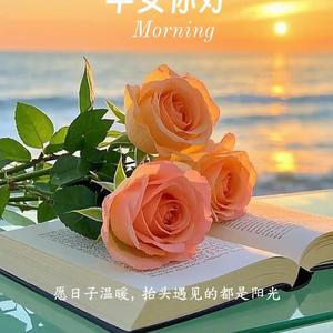 小高爱分享 头像