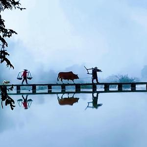 微笑轮船f5z5nv 头像