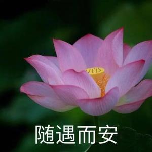随遇而安 头像