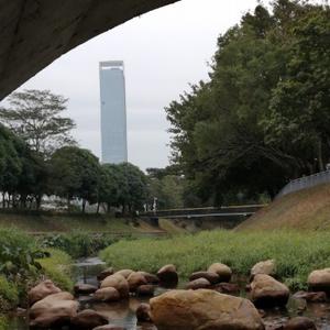 一股清流趟繁华 头像