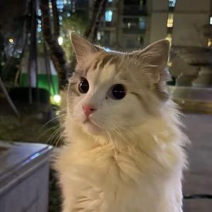 拍短剧的拾块钱 头像