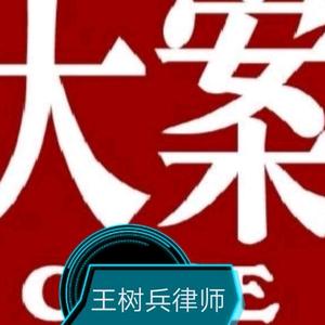王树兵律师|上海 头像