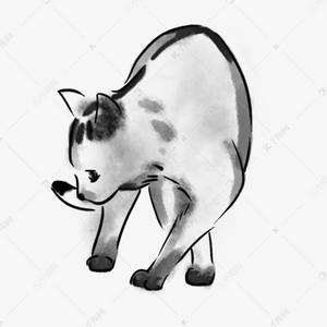 十四碎碎念 头像