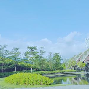 妙音随缘 头像