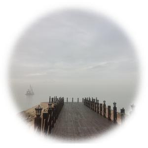 好学小鱼er 头像