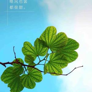 语文匠喳喳妈 头像