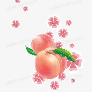水蜜桃生活记录 头像
