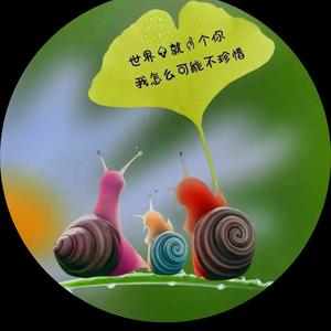 蝈蝈老师的作文锦囊 头像