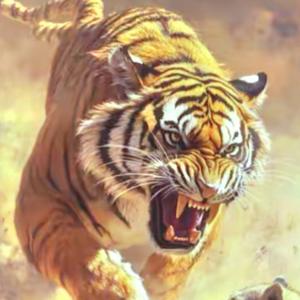 小老虎爱生活 头像