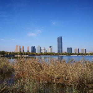 禾润德Linda 头像