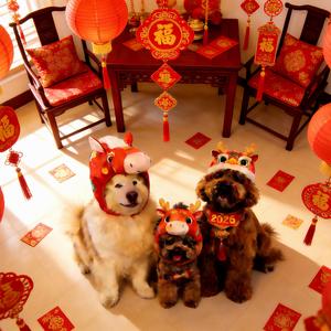 陨石拿铁和媛小姐 头像