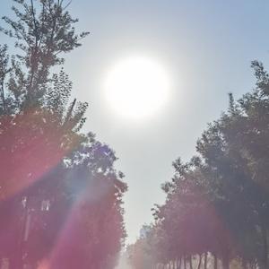 莫愁前路无阳光