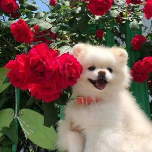 头条神秘故事会 头像