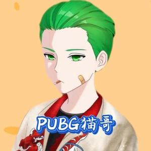 Pubg猫哥头像