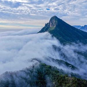 太行观雨人 头像