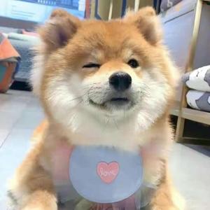 小小小小艾呀