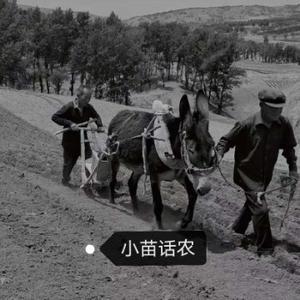小苗话农