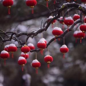 瑞雪兆丰年头像