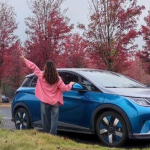 木子的厨房 头像