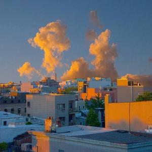 清闲的荷叶PrD 头像