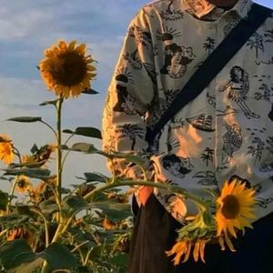 一句命中注定 头像